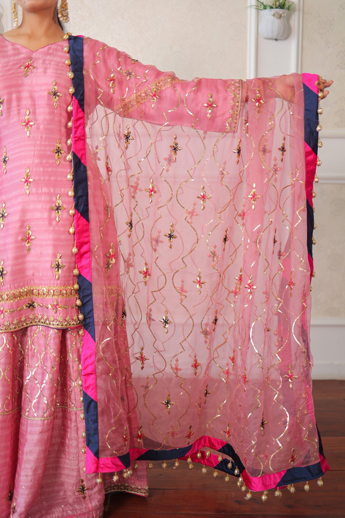 Blush Kiran Sharara Set