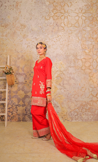 Coral Trellis Punjabi Suit