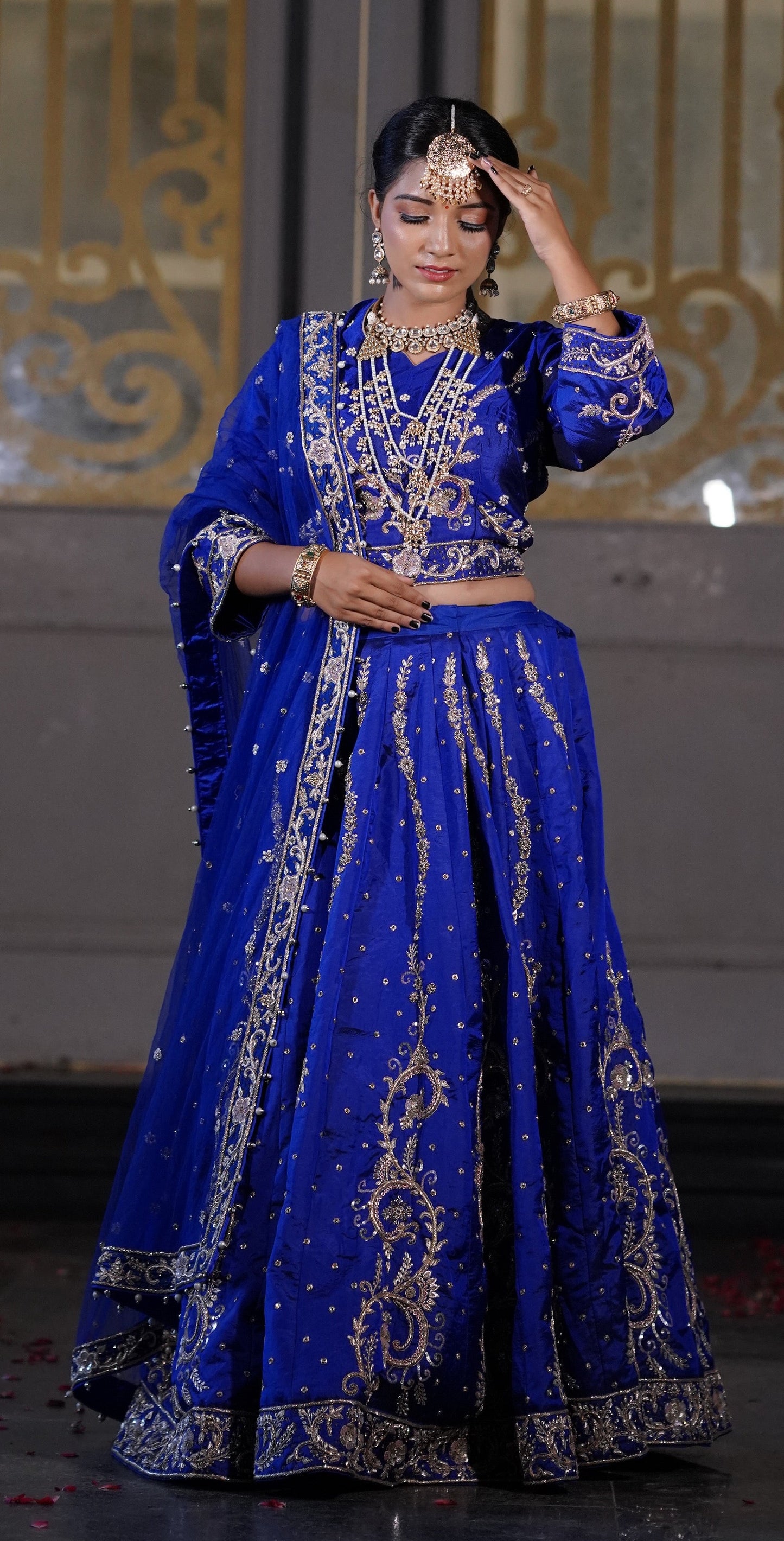 Elegant Blue Lehenga with Silver Embroidery