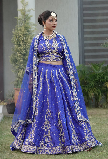 Elegant Blue Lehenga with Silver Embroidery