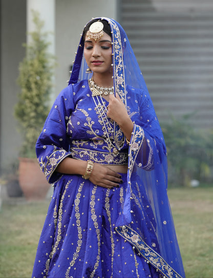 Elegant Blue Lehenga with Silver Embroidery