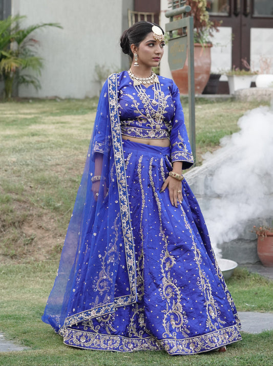 Elegant Blue Lehenga with Silver Embroidery