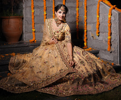 Nude and multicoloured Embroidered Lehnga